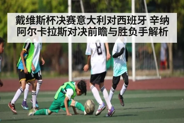 戴维斯杯决赛意大利对西班牙 辛纳阿尔卡拉斯对决前瞻与胜负手解析 | kaiyun
